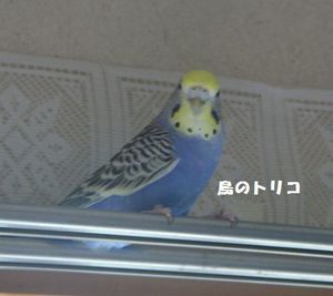 1  2006-08-21 Ƃɗ3Nキ炢̕.JPG