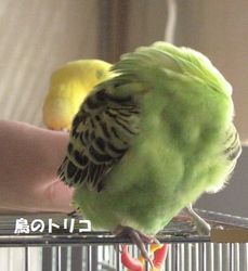 14@ёŨh.JPG