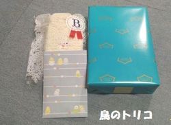 1@2018_12_11@L񂩂̑蕨.jpg