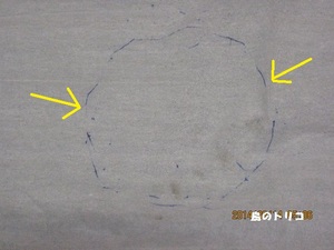 1@eBVɎᎂ̑傫Ă݂.JPG