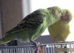 2@2HŒǂ.JPG