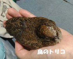 36 2018_10_26 22時29分 .jpg