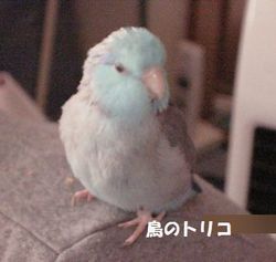 3@̌̕ʐ^.JPG