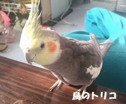 4@^Cgt@gRgR@KI.jpg