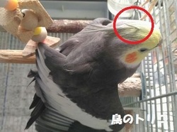 4@@KI͕M.jpg