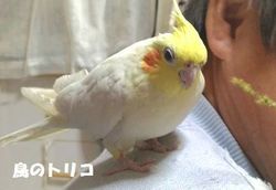 5@2019_01_26@1801@||Lr.jpg