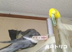 5@2019_05_19@1754@[2H.jpg