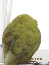 6@ёU|[.JPG