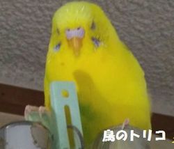 7@ll|[.jpg