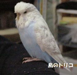 8@.JPG