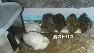 8@Bʐ^@3.jpg