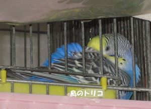 IMG_2330.JPG